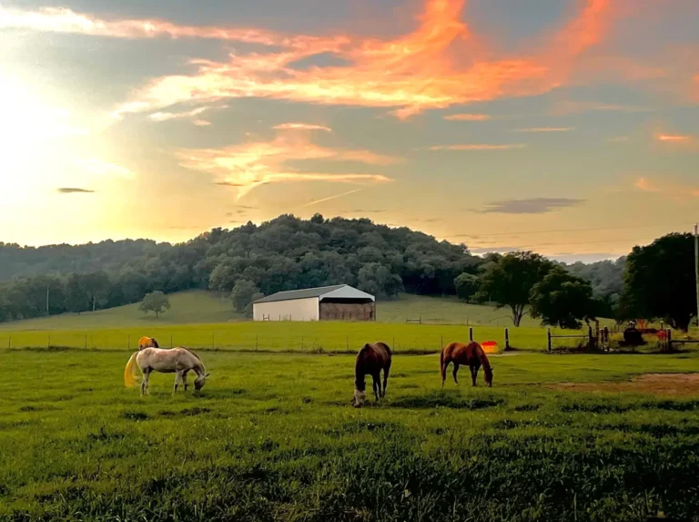 Williamson County Countryside
